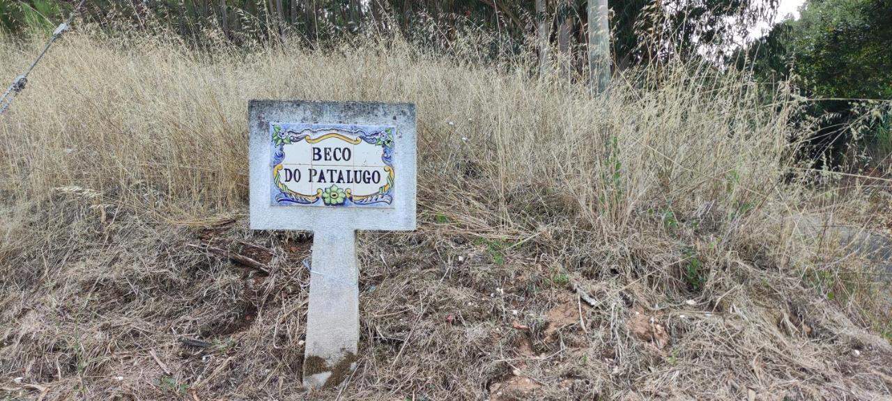 Beco Do Patalugo Lägenhet Salir de Matos Exteriör bild